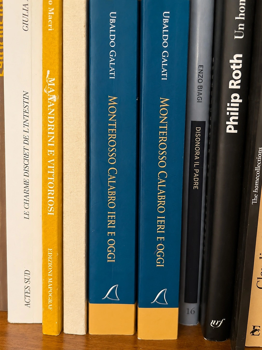 Libri dedicati a Monterosso Calabro